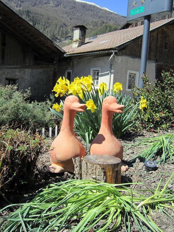Aparthotel Garni Haus Hubertus 말레스베노스타 객실 사진